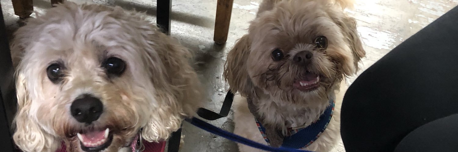 Sean Martin, DO FACOS banner