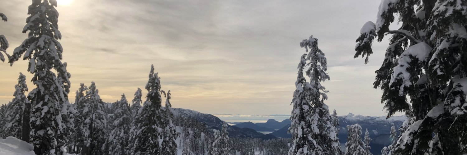 Dr. Marguerite Heyns banner