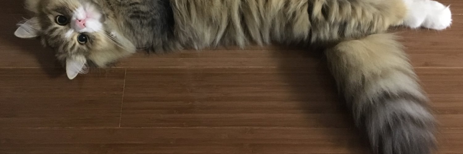 affection4kura's profile banner image