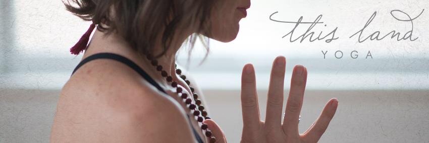 ThisLandYoga's profile banner image
