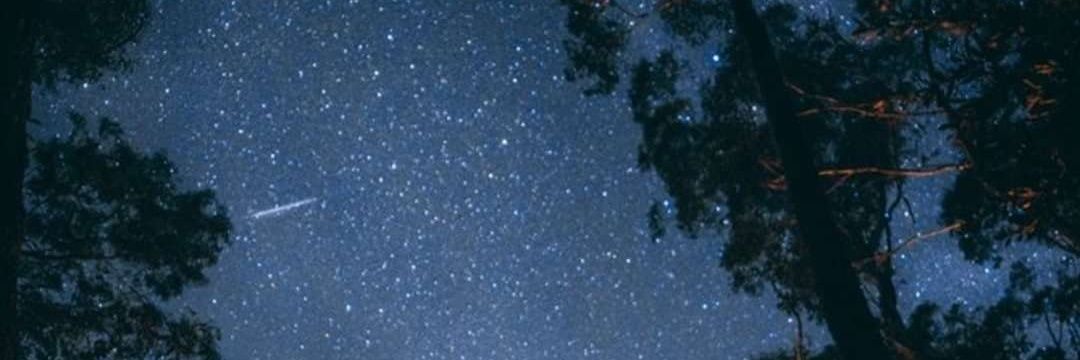 LuisaDuquee's profile banner image