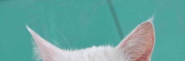 DKWGT's profile banner image