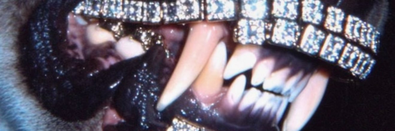 CoDee369's profile banner image