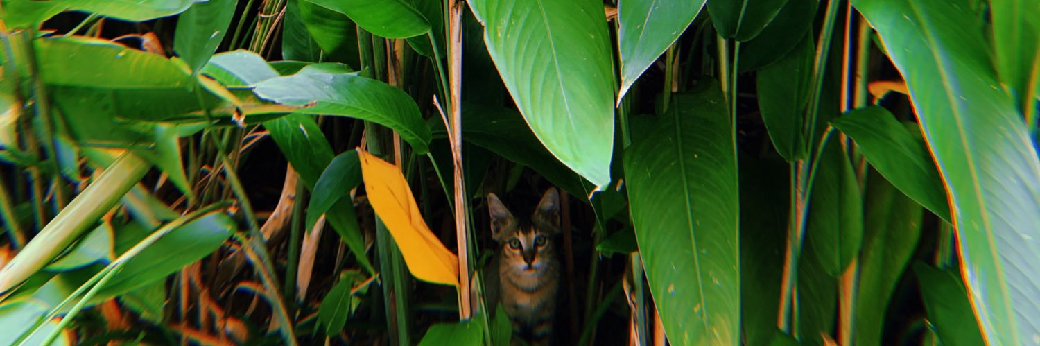 fyeahfj's profile banner image