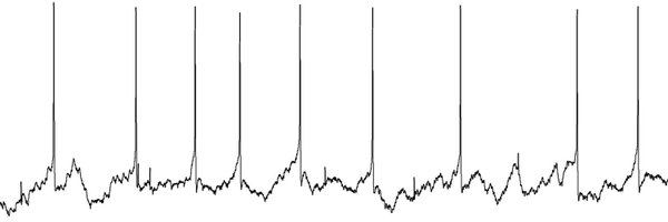 neurochapin Profile Banner