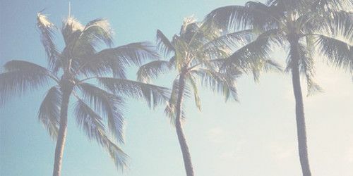 guru_support's profile banner image