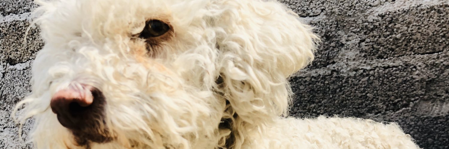 daviduzcanga's profile banner image