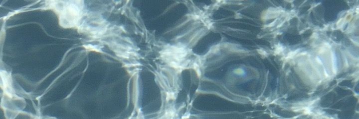 BrisaAmsler's profile banner image
