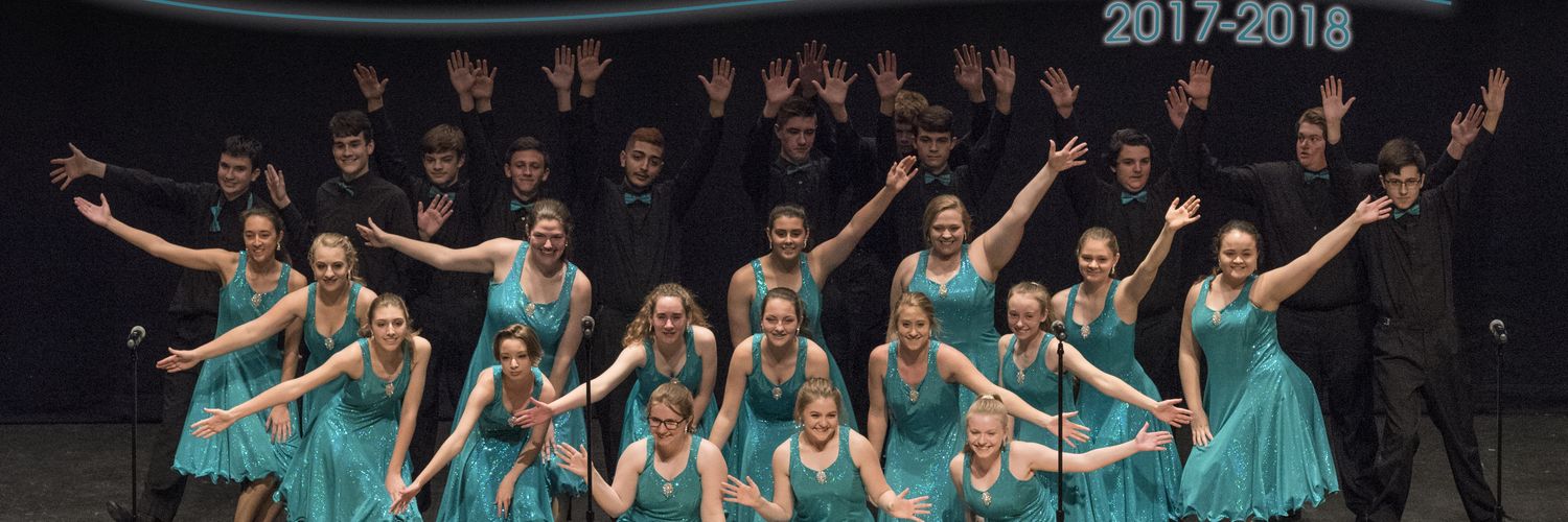 TulpySingers's profile banner image