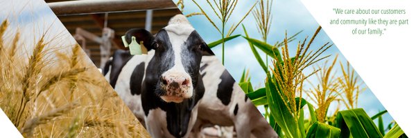 tco_agromart Profile Banner