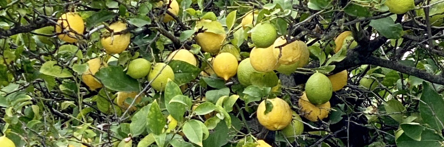 César Salcedo banner