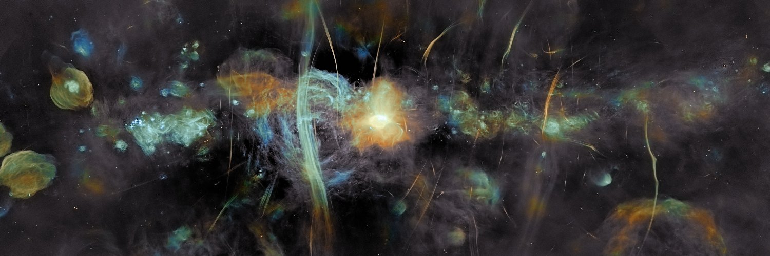 Elliot Walmsley banner