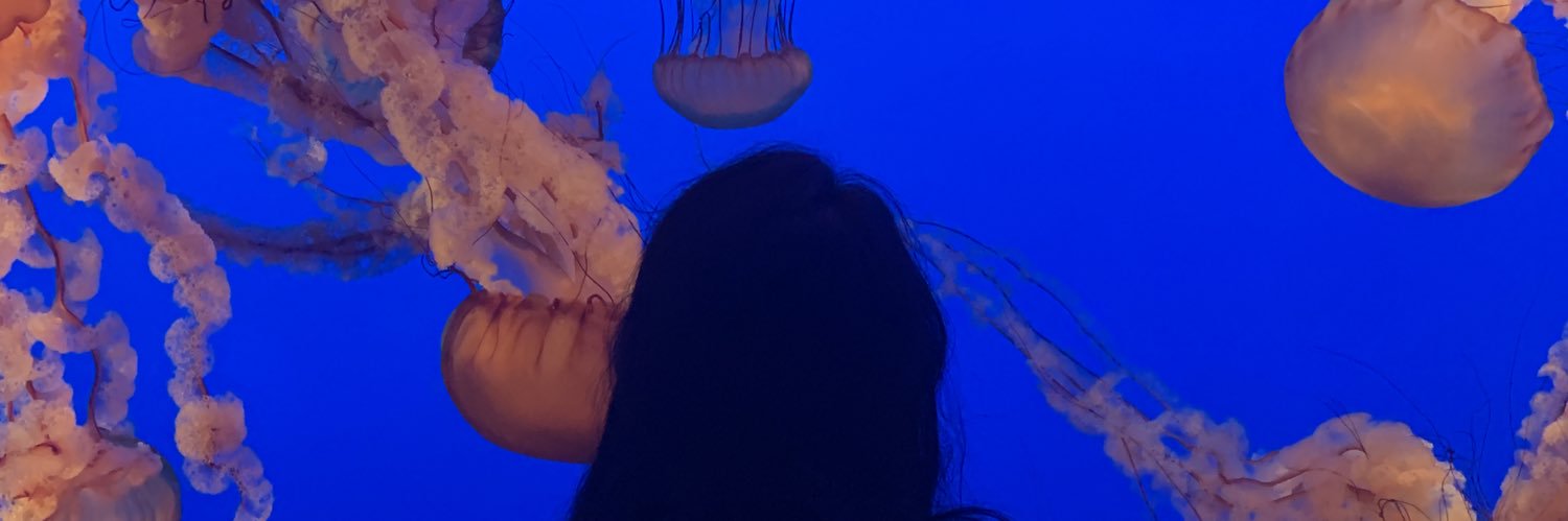 scrambled22's profile banner image