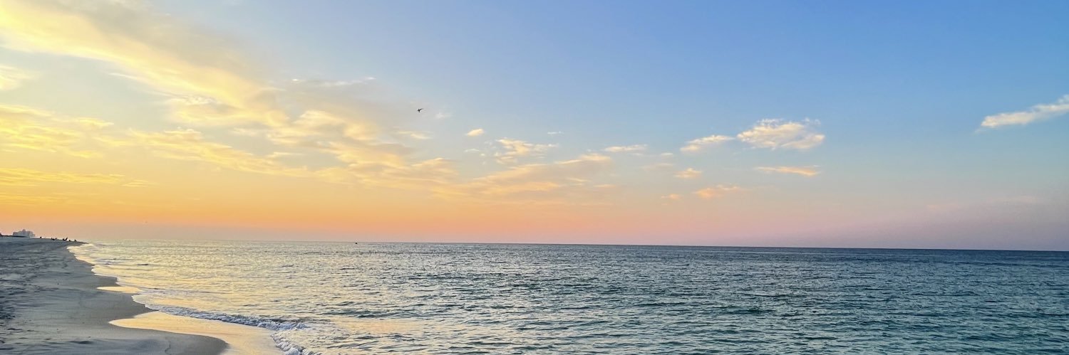 laurengrvs's profile banner image