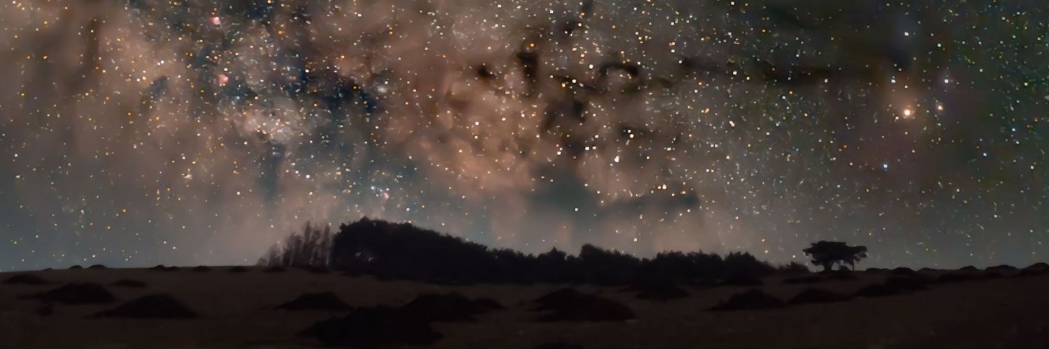 ssenffl's profile banner image