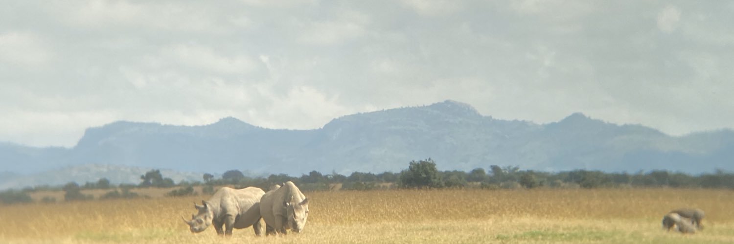 kmlav29's profile banner image