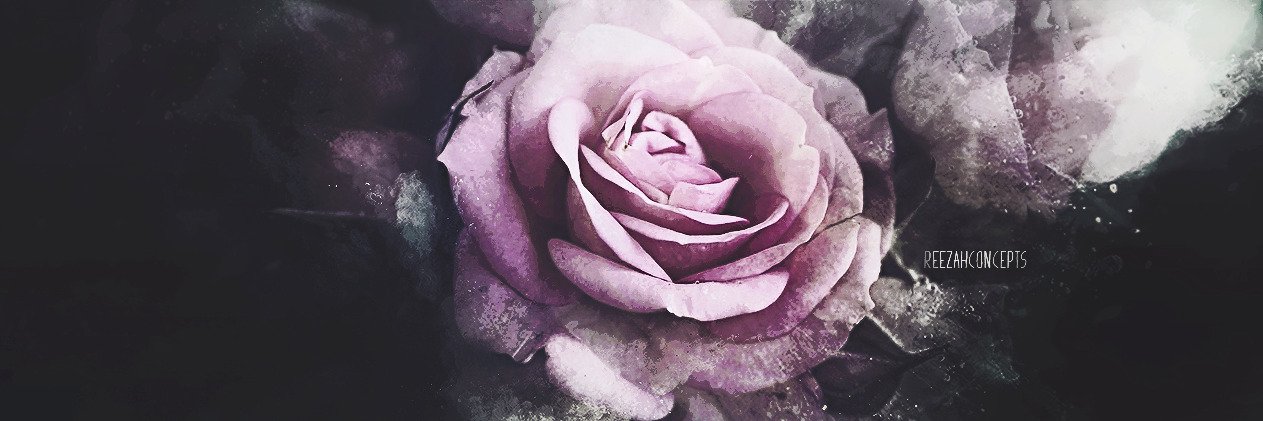 ReezahConcepts's profile banner image