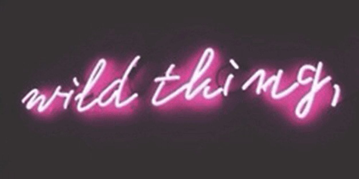 itselenasdw's profile banner image