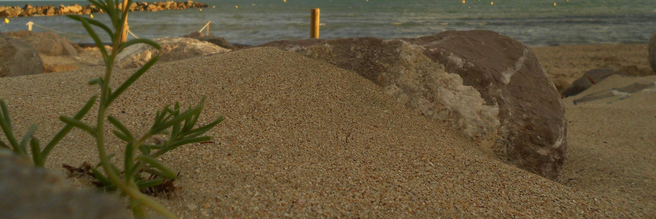 HAPPYangeAILE's profile banner image