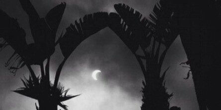 - banner