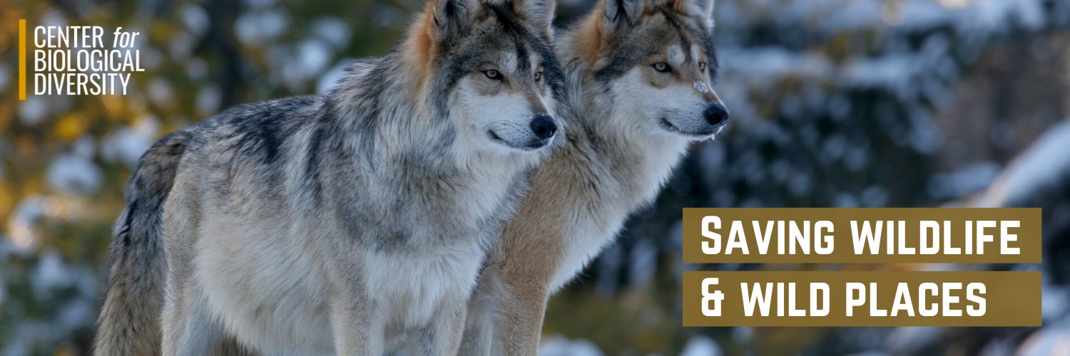 Center for Biological Diversity banner