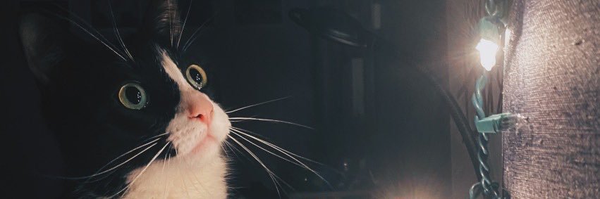 zruedella's profile banner image