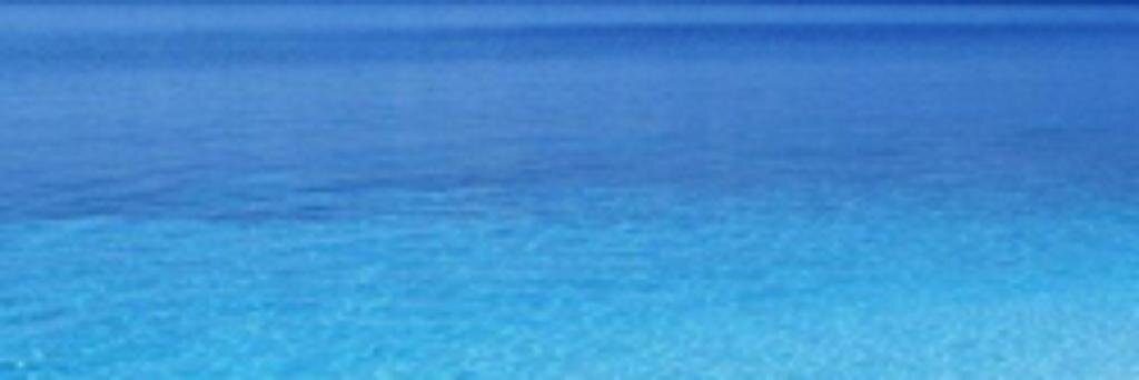 sharongdrs's profile banner image