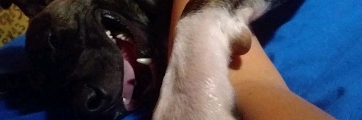 Contoate10's profile banner image