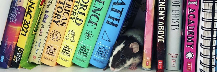 Stephanie Cottrell banner