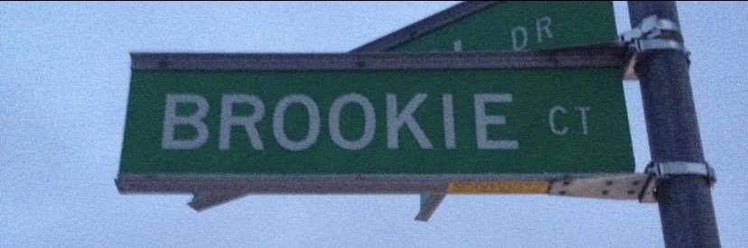 brookiewoods's profile banner image