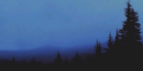 dayumsides's profile banner image