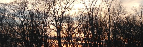 zorok34 Profile Banner