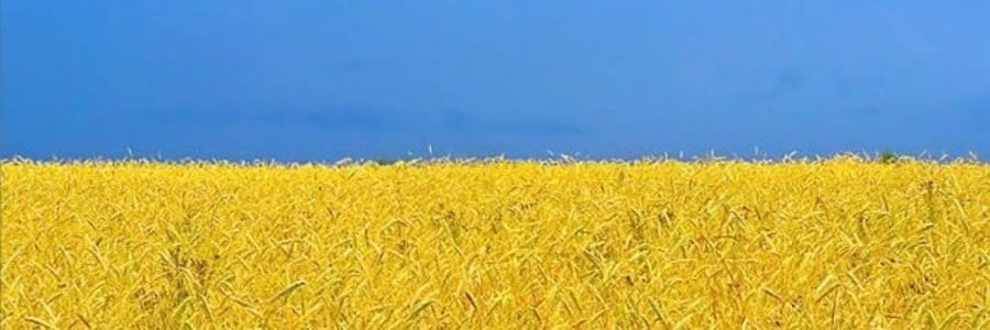 Halvor Nilsen 🇺🇦📎 banner