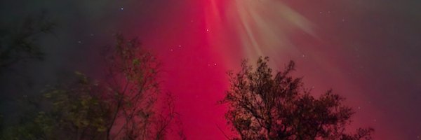 loriraehiggins Profile Banner