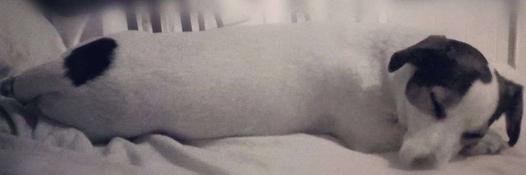 Cri...e stò🩵 banner