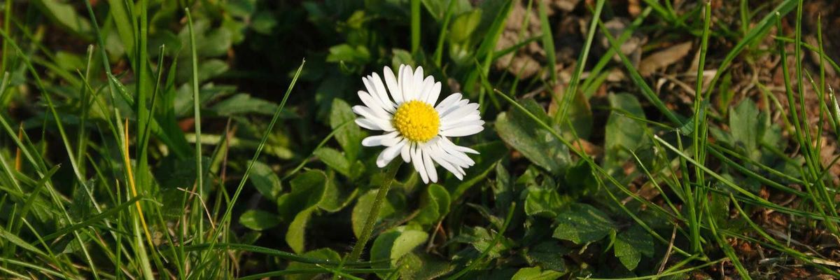 Stefan Hachmann banner