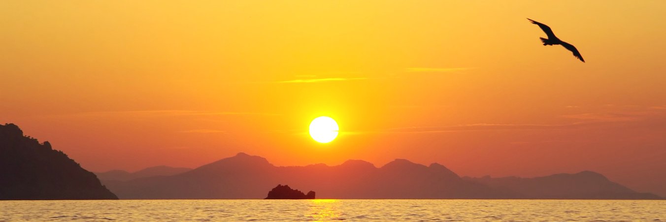 GWMedBilling's profile banner image