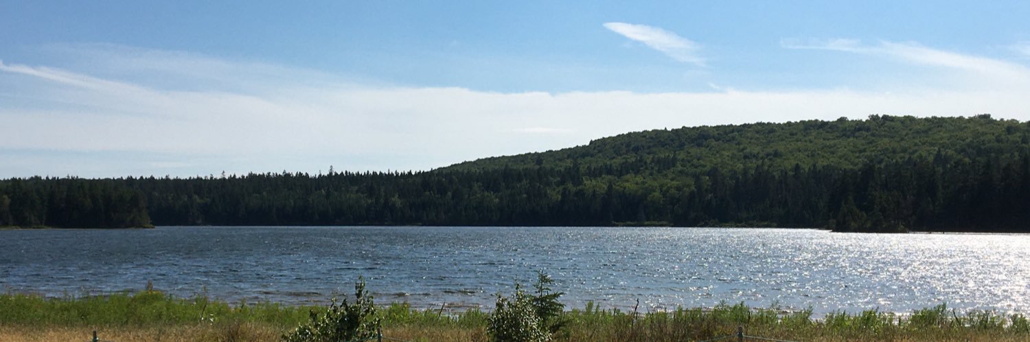 monctongreens's profile banner image