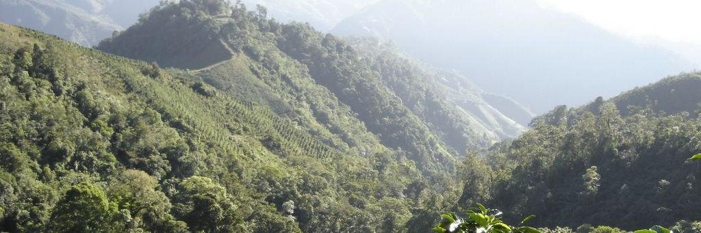 DukesColdBrew's profile banner image