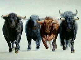 ToRoS y ReJoNeS banner