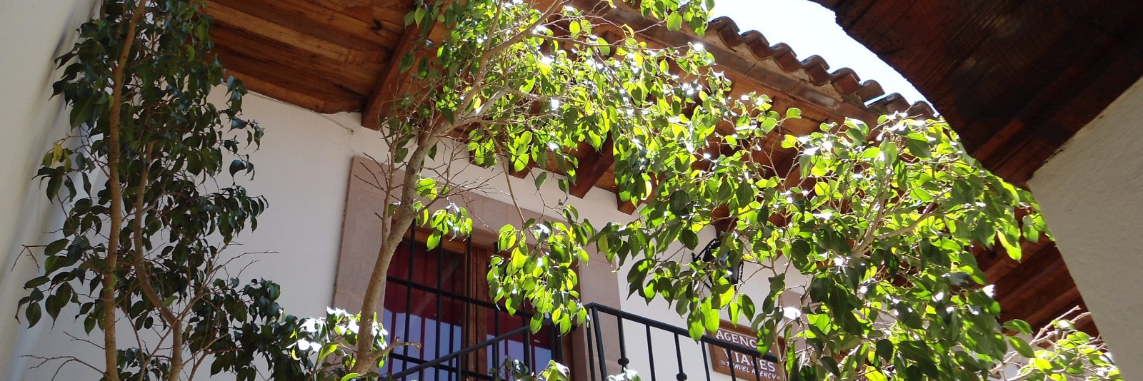 La Piel de Zapa banner