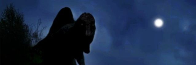 smorgyborg's profile banner image