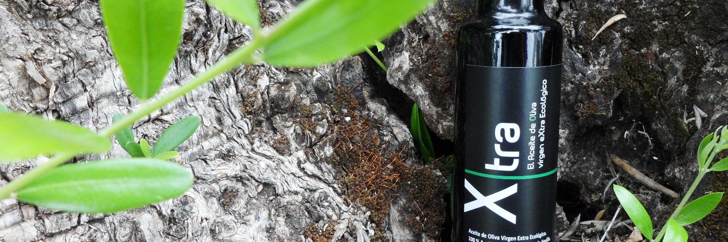 Ecolivum's profile banner image