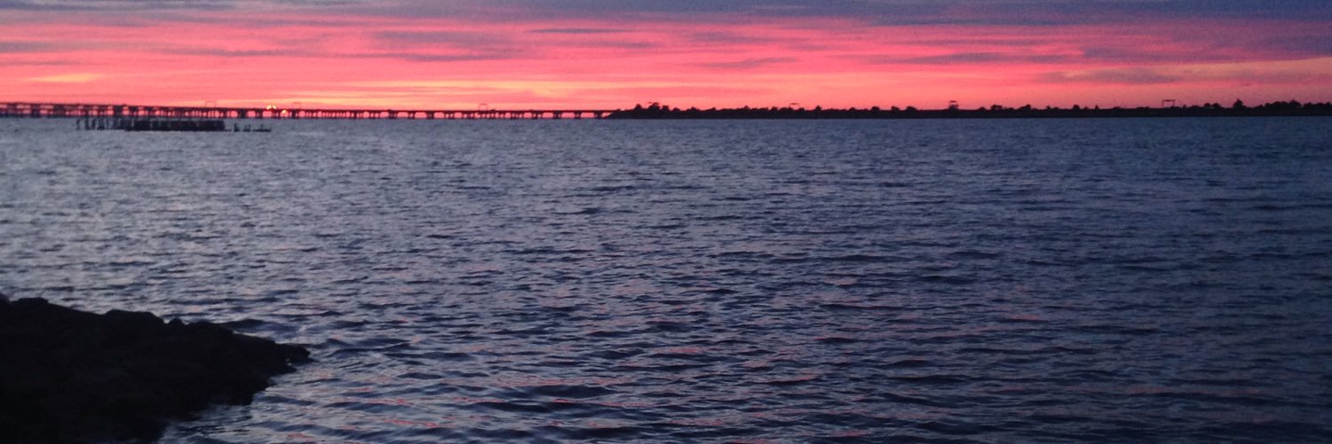 Heather Arnold banner