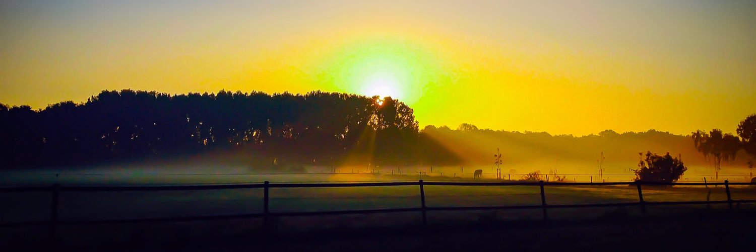 snitsch74's profile banner image