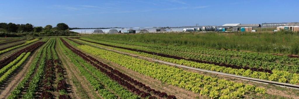 BartlettsFarm's profile banner image