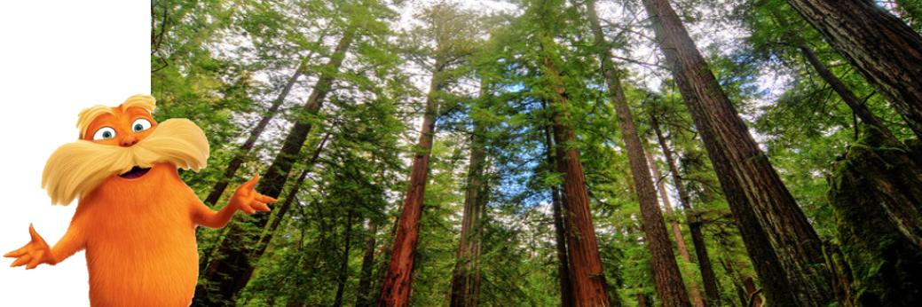 Jennifar McComish banner