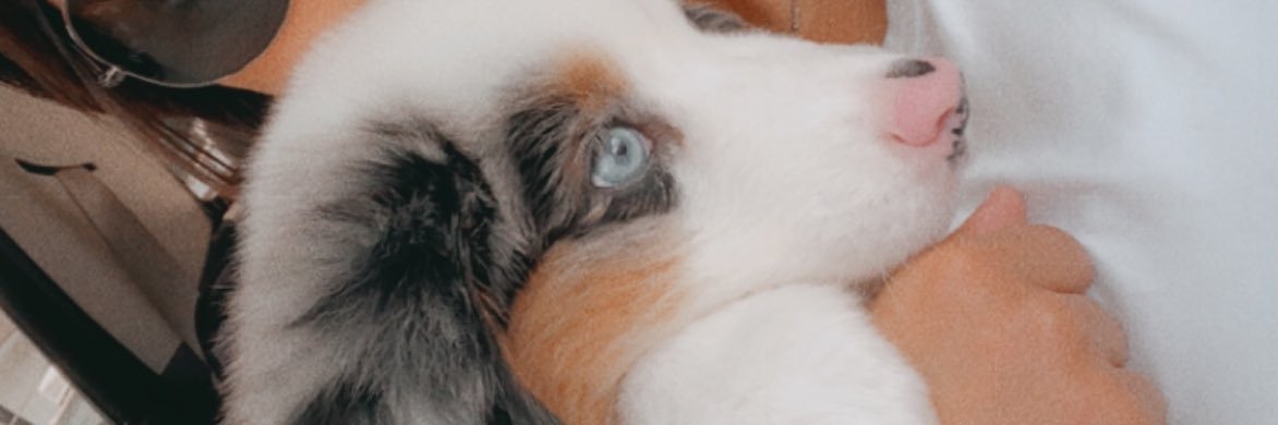 Hannahfayee20's profile banner image