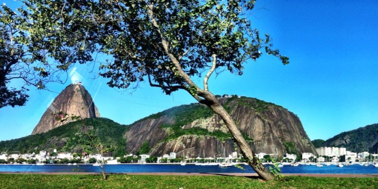 leisa rampini banner