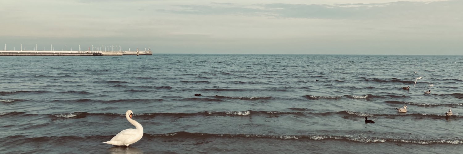 Anna_Agapova's profile banner image